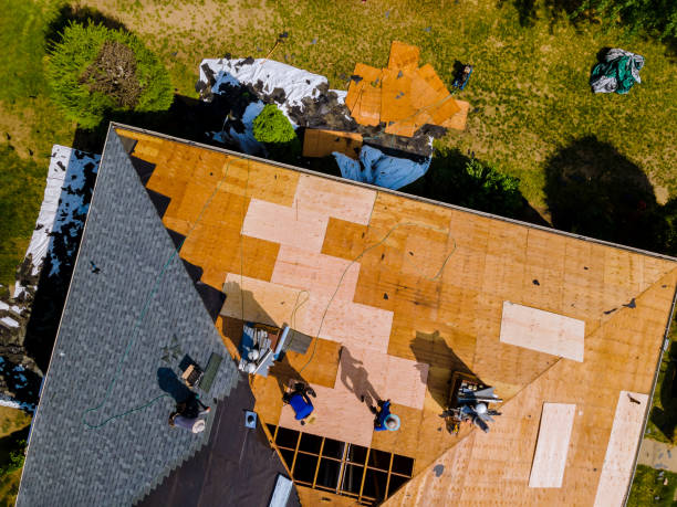 Best Metal Roofing Contractor  in Castle Rock, CO